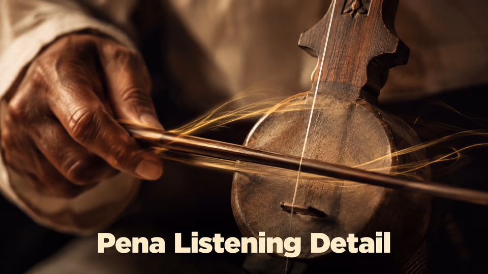 Close view of a traditional Manipuri Pena being played during a recording